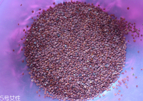 海藻面膜的功效與作用 用海藻面膜有什么好處？