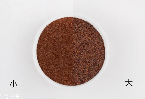 海藻面膜放什么最好？海藻面膜可以放什么？