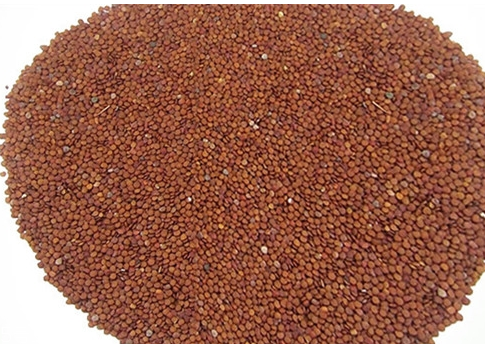 海藻面膜能祛痘印嗎？海藻面膜加什么去痘？