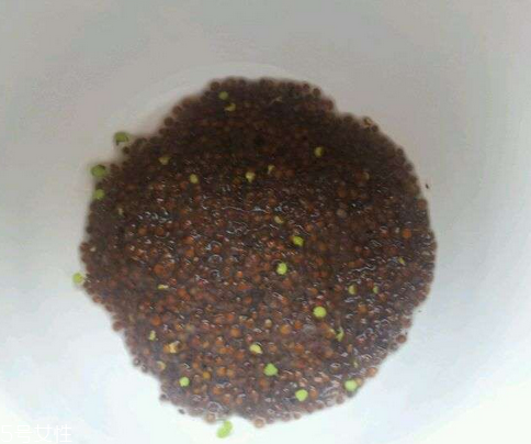 海藻面膜能祛痘印嗎？海藻面膜加什么去痘？