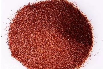 海藻面膜是什么種子？海藻面膜到底是什么？