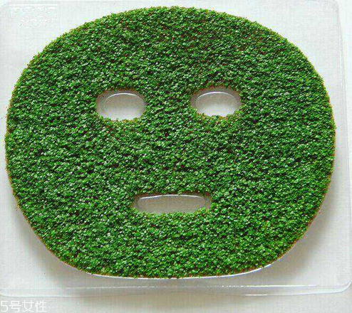 海藻面膜是什么種子？海藻面膜到底是什么？