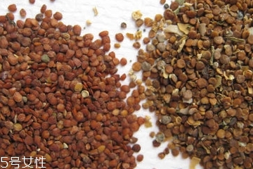 海藻面膜是清潔面膜嗎？海藻屬于清潔性面膜嗎？