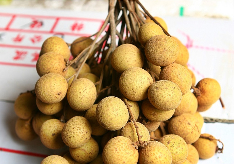 新鮮龍眼怎么挑選與保存 新鮮龍眼怎么挑選與保存