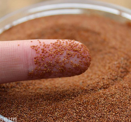 海藻面膜是哪個國家的？海藻面膜哪個牌子好用？