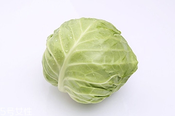 牛心菜是包菜嗎？牛心菜和包菜的區(qū)別