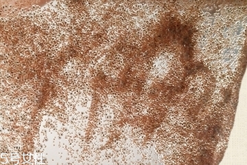 海藻面膜會(huì)發(fā)芽嗎？真的海藻面膜會(huì)發(fā)芽嗎？