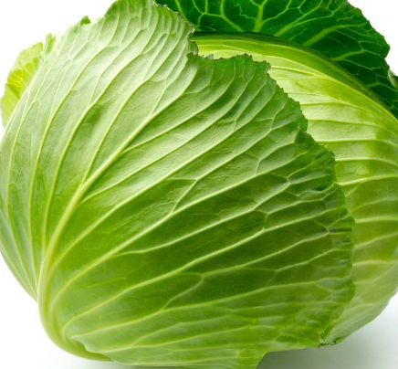 牛心菜能多吃嗎？牛心菜吃多了會怎樣？