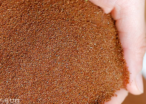 海藻面膜能加蜂蜜嗎？蜂蜜和海藻做面膜好嗎？