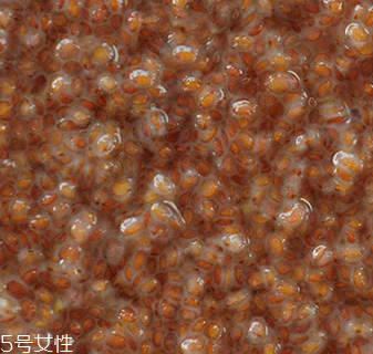 海藻面膜能加蜂蜜嗎？蜂蜜和海藻做面膜好嗎？