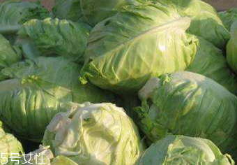 牛心菜的營(yíng)養(yǎng)成分 牛心菜的營(yíng)養(yǎng)成分是什么？