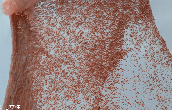 海藻面膜能去黑頭嗎？海藻面膜有去黑頭功效嗎？