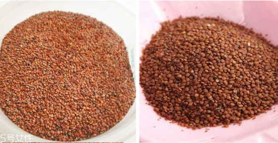 海藻面膜去角質(zhì)嗎？海藻面膜有去角質(zhì)功效嗎？