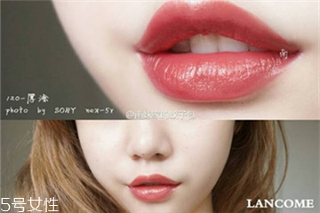 蘭蔻120和290哪個好看 蘭蔻120和290試色 蘭蔻120和290哪個好看 蘭蔻120和290試色