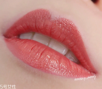 蘭蔻120和290哪個好看 蘭蔻120和290試色 蘭蔻120和290哪個好看 蘭蔻120和290試色