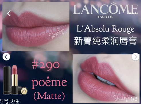 蘭蔻120和290哪個好看 蘭蔻120和290試色 蘭蔻120和290哪個好看 蘭蔻120和290試色