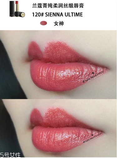 蘭蔻120和290哪個好看 蘭蔻120和290試色 蘭蔻120和290哪個好看 蘭蔻120和290試色