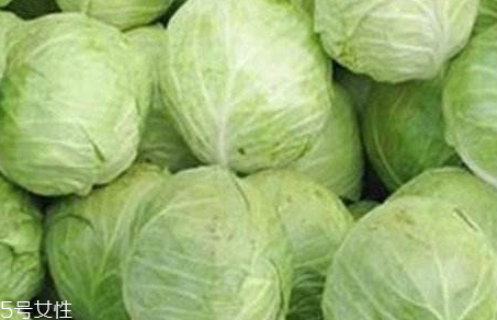 牛心菜是寒性還是熱性？牛心菜是寒性的嗎？