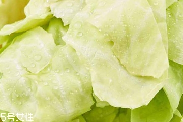 牛心菜是寒性還是熱性？牛心菜是寒性的嗎？