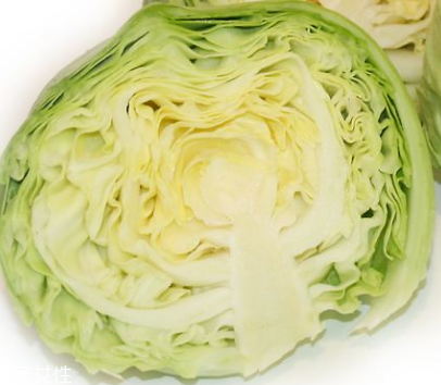 牛心菜是酸性還是堿性？牛心菜是酸性的嗎？