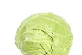 牛心菜怎么種植？牛心菜能種嗎？