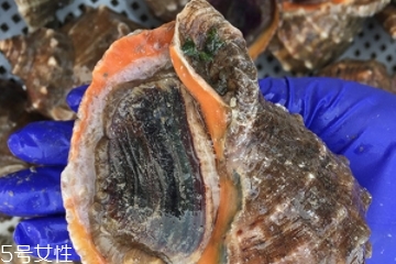 海螺開水還是冷水下鍋？海螺冷水還是熱水煮？