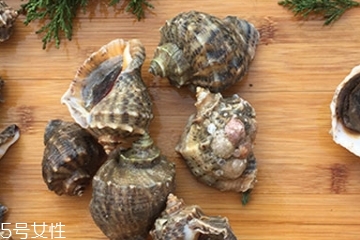 海螺會中毒嗎？吃海螺中毒多久會緩解？