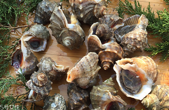 海螺會(huì)中毒嗎？吃海螺中毒多久會(huì)緩解？