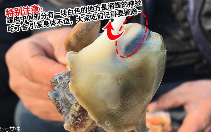 海螺會(huì)中毒嗎？吃海螺中毒多久會(huì)緩解？