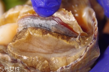 海螺可以隔夜吃嗎？海螺煮熟隔夜能吃嗎？
