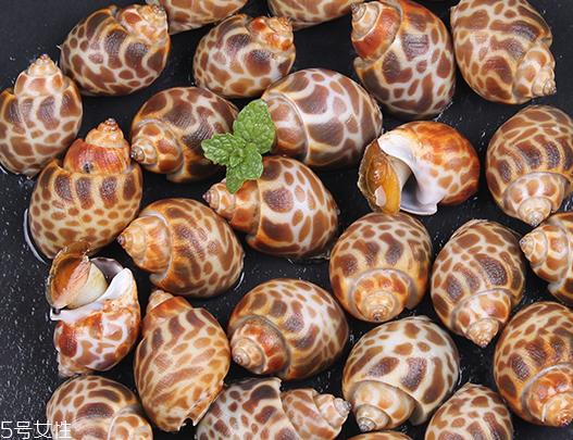 海螺可以隔夜吃嗎？海螺煮熟隔夜能吃嗎？