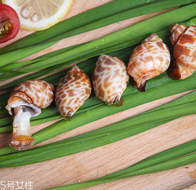 海螺能和西瓜一起吃嗎？海螺和西瓜能同食嗎？