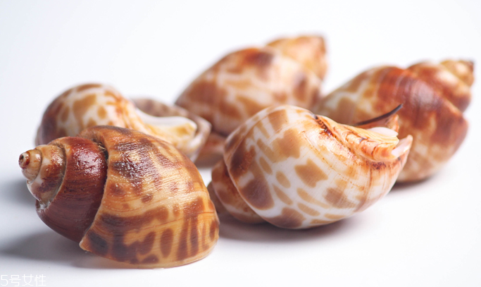 海螺能和西瓜一起吃嗎？海螺和西瓜能同食嗎？