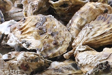 生蠔肉怎么做好吃？生蠔肉做法推薦