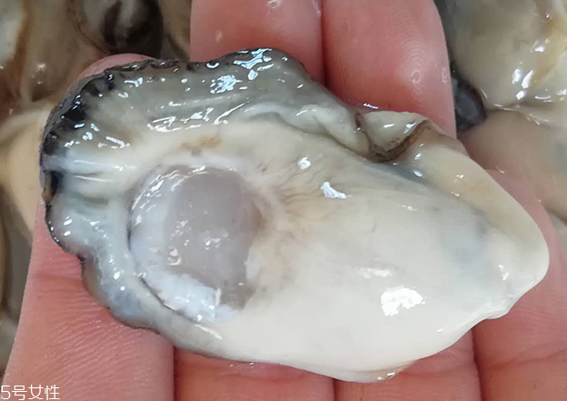 生蠔肉怎么做好吃？生蠔肉做法推薦