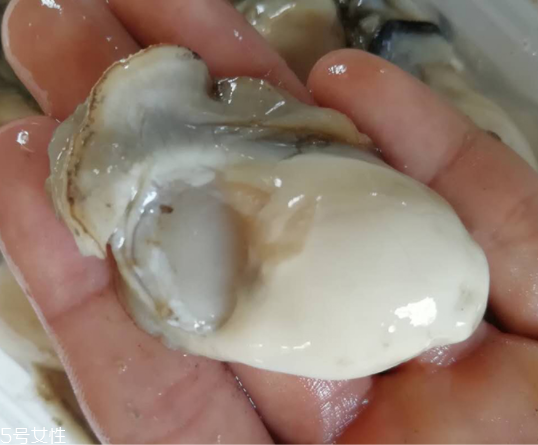 生蠔肉都能吃嗎？生蠔肉有不能吃的地方嗎？