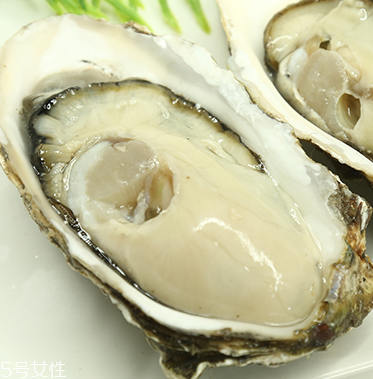 生蠔是蒸還是煮？生蠔蒸好吃還是煮好吃？