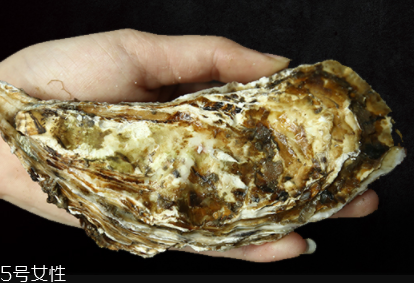 生蠔有內(nèi)臟嗎？生蠔的內(nèi)臟能吃嗎？