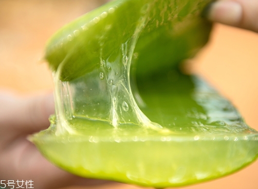 蘆薈水的功效與的作用 蘆薈水的美容效果 蘆薈水的功效與的作用 蘆薈水的美容效果