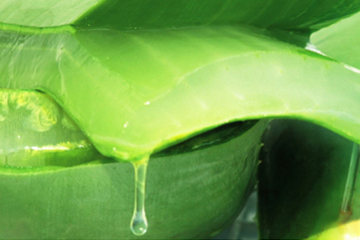 蘆薈水哪個牌子好？蘆薈爽膚水品牌推薦