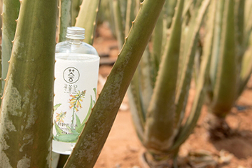 尋薈記蘆薈水怎么樣？尋薈記蘆薈水使用心得