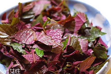 紫蘇葉是熱性的嗎？紫蘇葉是寒性的嗎？