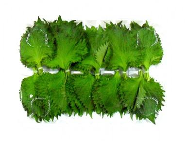 紫蘇葉能生吃嗎？紫蘇葉可以生吃