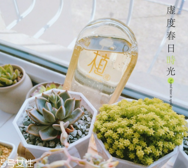 植觀洗發(fā)水是不是三無(wú) 炸毛小仙女的福音 植觀洗發(fā)水是不是三無(wú) 炸毛小仙女的福音