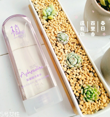 植觀洗發(fā)水怎么用 一款仙女該用的洗發(fā)水 植觀洗發(fā)水怎么用 一款仙女該用的洗發(fā)水