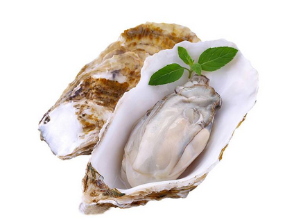 生蠔放冷藏可以放多久？生蠔放冷藏的保存時(shí)間