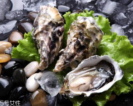 生蠔每天吃幾個(gè)最好？生蠔每日最佳食用量
