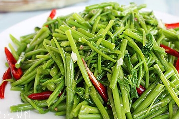 刺五加是不是五加皮？刺五加和五加皮的區(qū)別