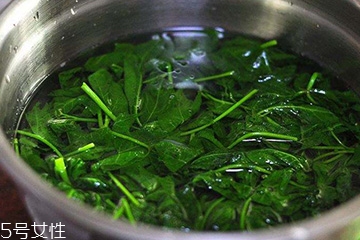 刺五加能生吃嗎？刺五加不能生吃