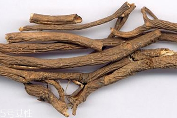 刺五加的選購技法 怎么挑選刺五加？